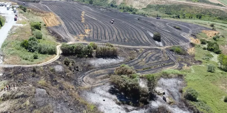 Arnavutköy'de tarım arazisine sıçrayan yangın söndürüldü