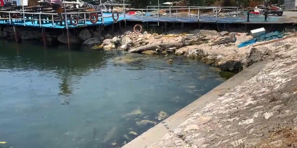 Avcılar'daki cinayet: Şüpheliler adliyeye sevk edildi