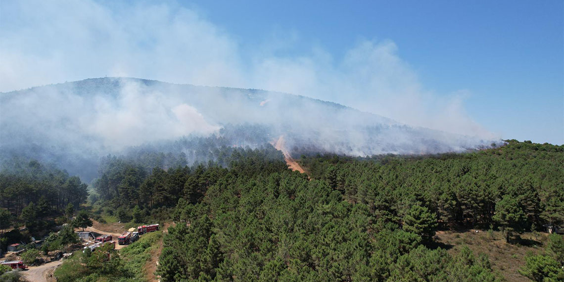 Pendik'teki Aydos Ormanı'nda yangın