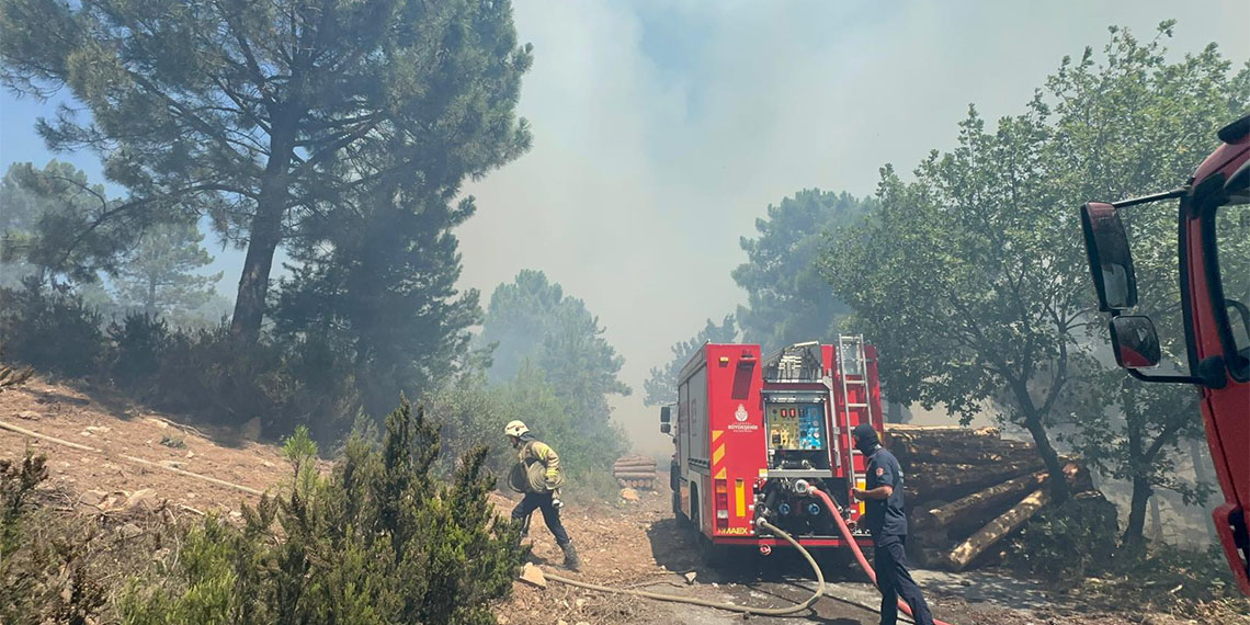 Pendik'teki Aydos Ormanı'nda yangın çıktı. Olay yerine çok sayıda itfaiye sevk edildi.