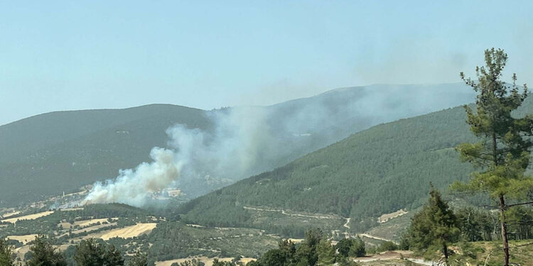 Balıkesir'de Kepsut ilçesinde orman yangını