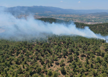 Bergama'daki orman yangınında 2'nci gün