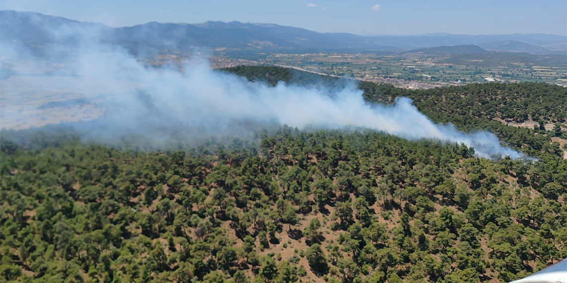 Bergama'daki orman yangınında 2'nci gün