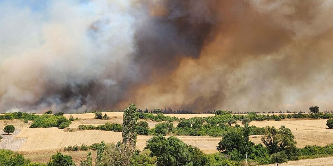 Balıkesir'in Altıeylül ilçesinde orman yangını
