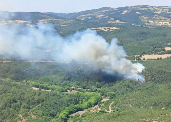 Balıkesir'in Altıeylül ilçesinde orman yangını