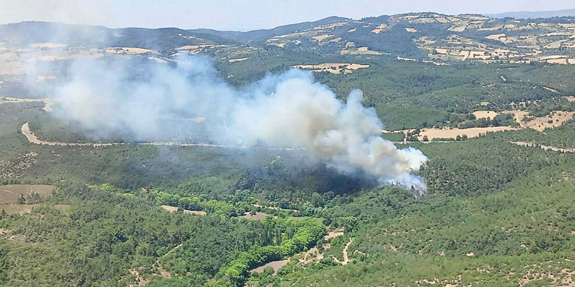 Balıkesir'in Altıeylül ilçesinde orman yangını