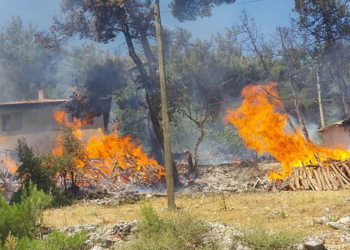 Balıkesir'in Dursunbey ilçesinde orman yangını