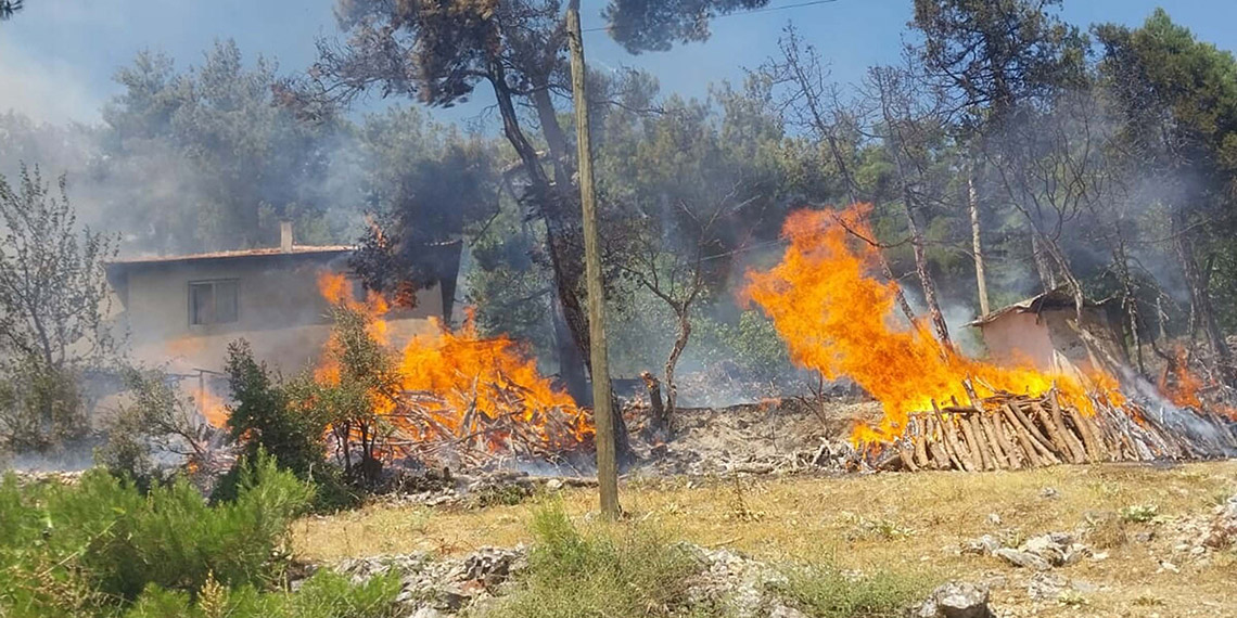 Balıkesir'in Dursunbey ilçesinde orman yangını