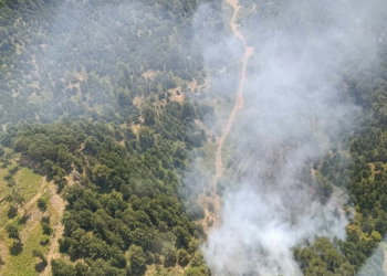 Balıkesir'in İvrindi ilçesinde orman yangını