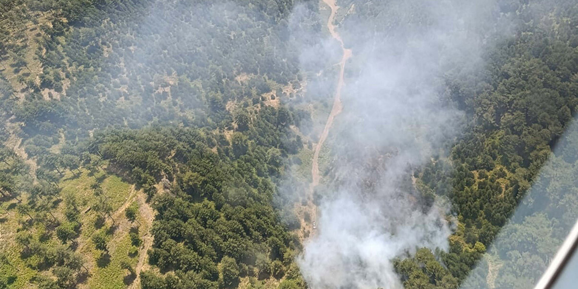 Balıkesir'in İvrindi ilçesinde orman yangını