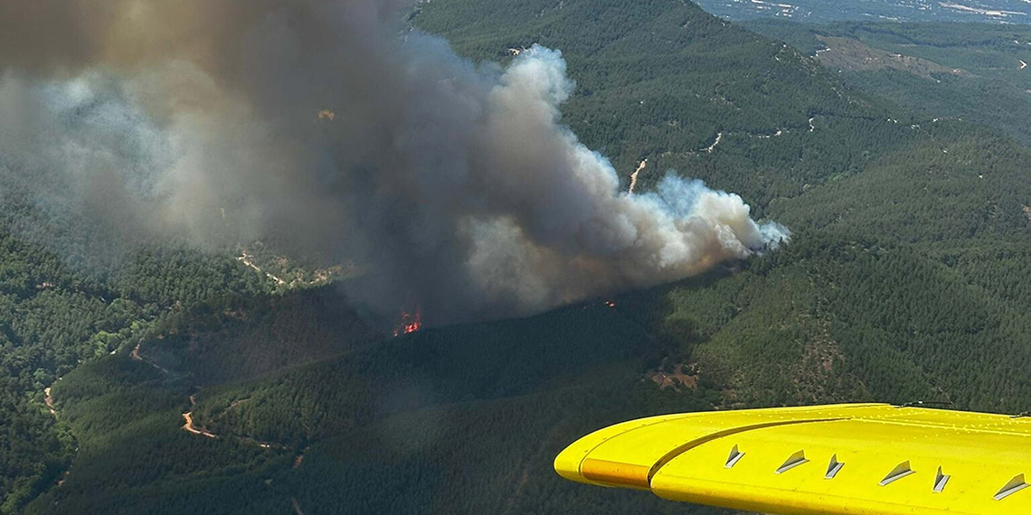 Bergama'da orman yangını çıktı; müdahale sürüyor