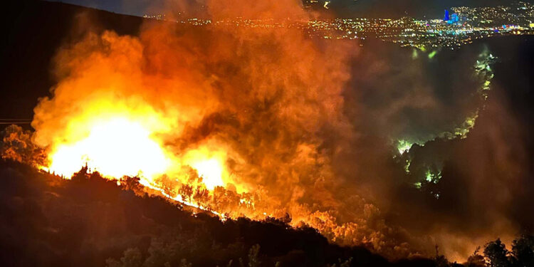 Bornova'daki orman yangının nedeni; ters çevrilen mangal