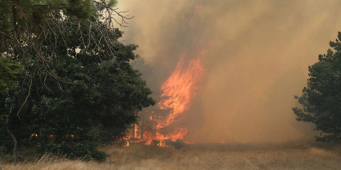 Bulgaristan'da, Türkiye sınırında orman yangını