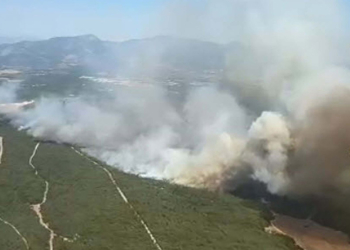 Bursa ve İzmir'de orman yangını