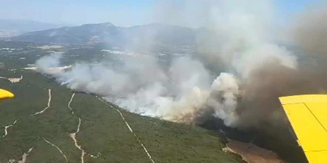 Bursa ve İzmir'de orman yangını