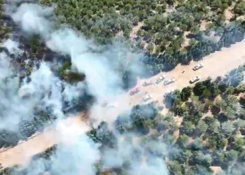 Çanakkale Ayvacık'taki orman yangını 2'nci gününde