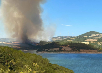 Çanakkale Bayramiç'te orman yangını