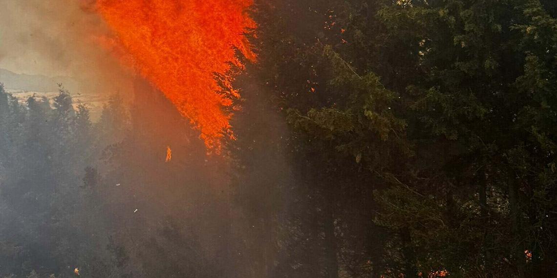 Çanakkale Bayramiç'te orman yangını çıktı