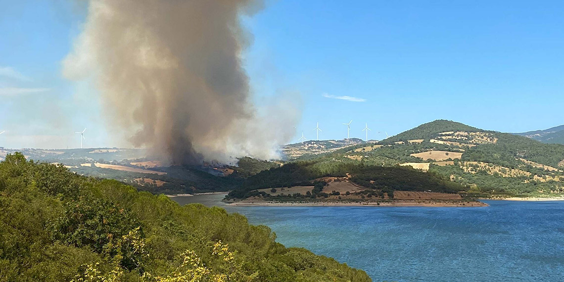 Çanakkale Bayramiç'te orman yangını