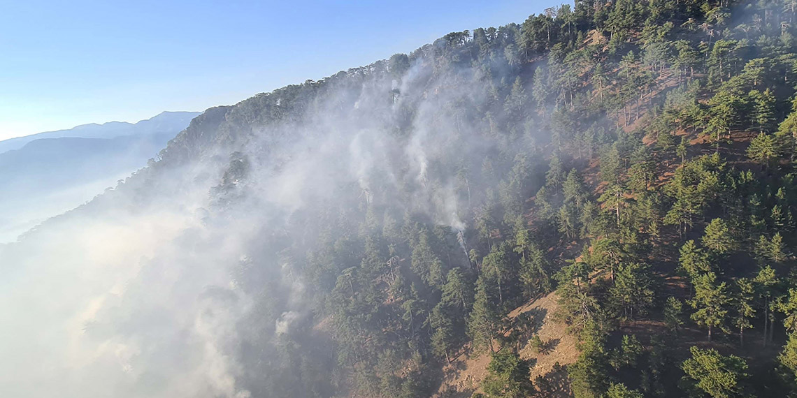 Denizli'deki orman yangını 17 saatte kontrol altına alındı