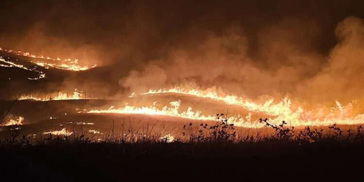 Diyarbakır ve Mardin'deki yangın için 55 milyon TL yardım