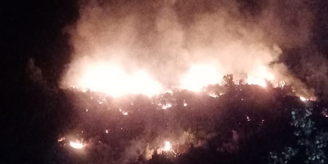 Döşemealtı'ndaki orman yangınında 7 dekarlık alan zarar gördü