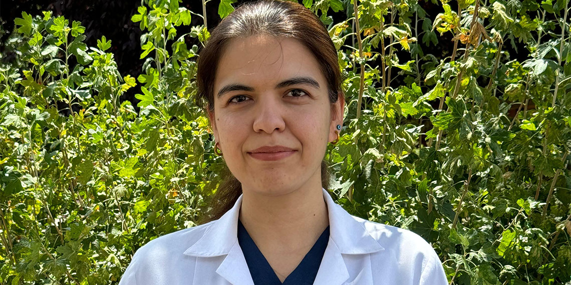 Aile Hekimleri sorunları için, Memişoğlu'na seslendi