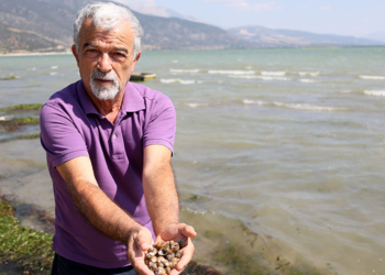 Eğirdir Gölü'nde binlerce kabuklu su canlısı ölüsü kıyıya vurdu