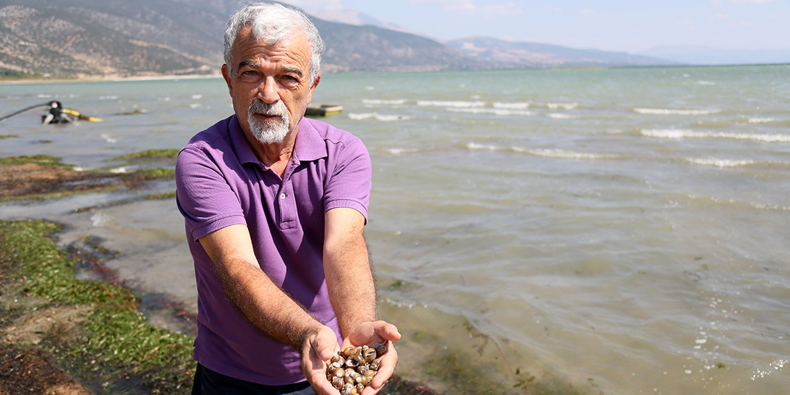 Eğirdir Gölü'nde binlerce kabuklu su canlısı ölüsü kıyıya vurdu