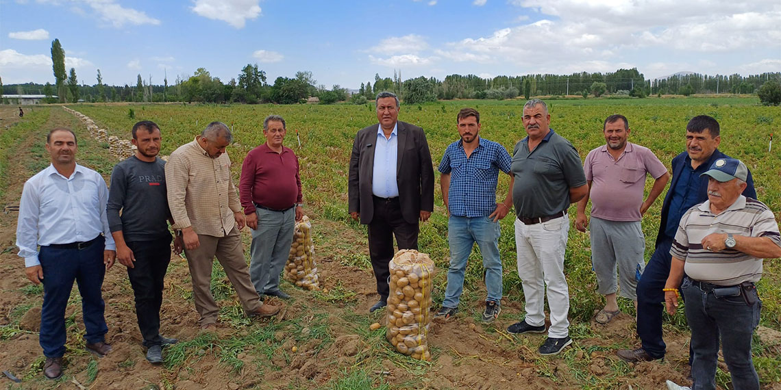 Patates üreticisinin dramı; Tarlada 4, markette 20 lira