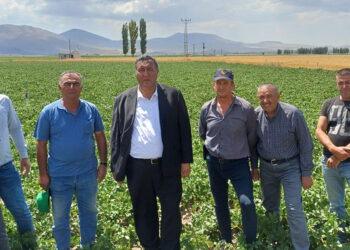 Tarlada üretici, raftaki ürünü alırken ise tüketici mağdur
