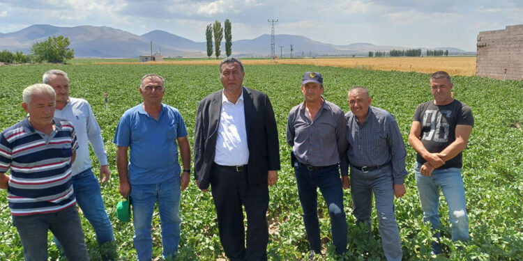 Tarlada üretici, raftaki ürünü alırken ise tüketici mağdur