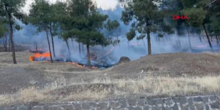 Gaziantep'te örtü yangını