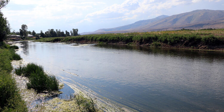Geçen yıl kuruyan Bendimahi Çayı, yağışlarla hayat buldu