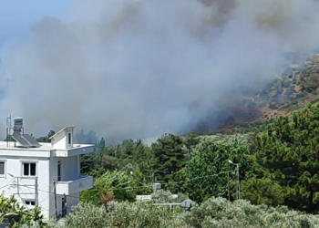 Hatay'da yerleşim yeri yakınında orman yangını