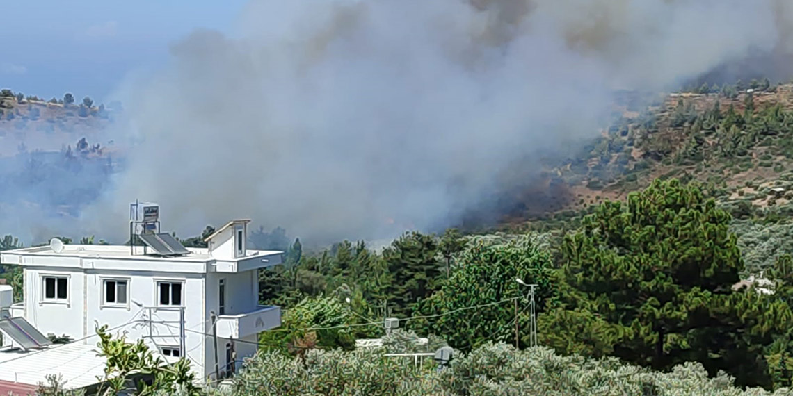 Hatay'da yerleşim yeri yakınında orman yangını