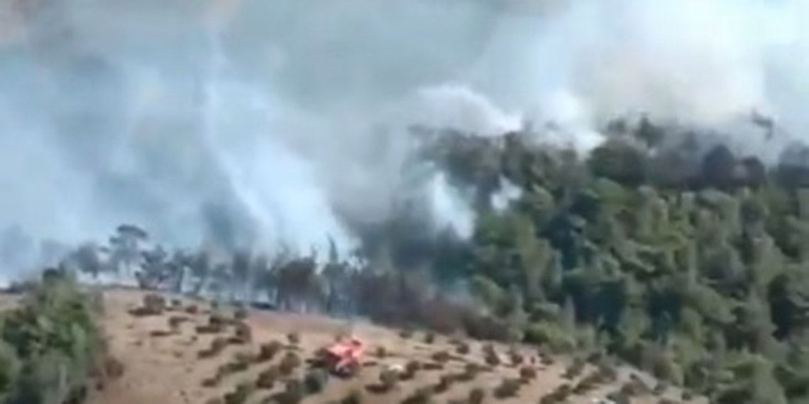 Hatay'ın Belen ilçesinde ormanda yangın