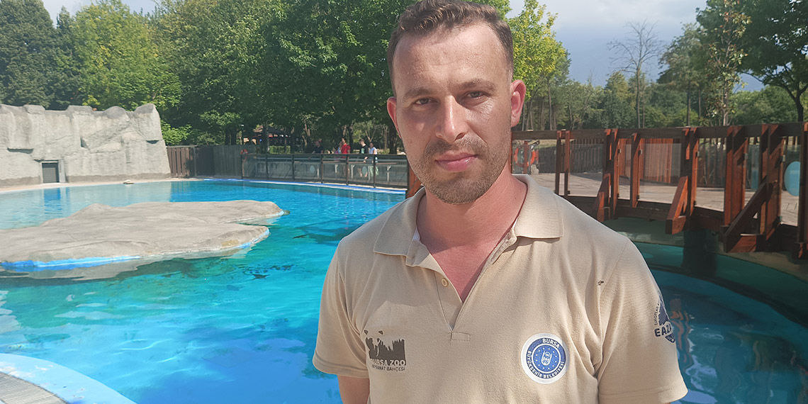 Hayvanat bahçesinde penguenlere yaz uygulaması