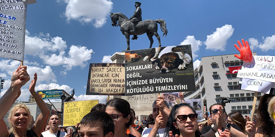 Sokak hayvanları yasası protestosu
