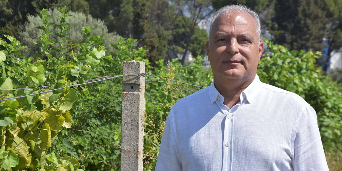 Haziran sıcakları, meyve ağaçlarını kuruttu