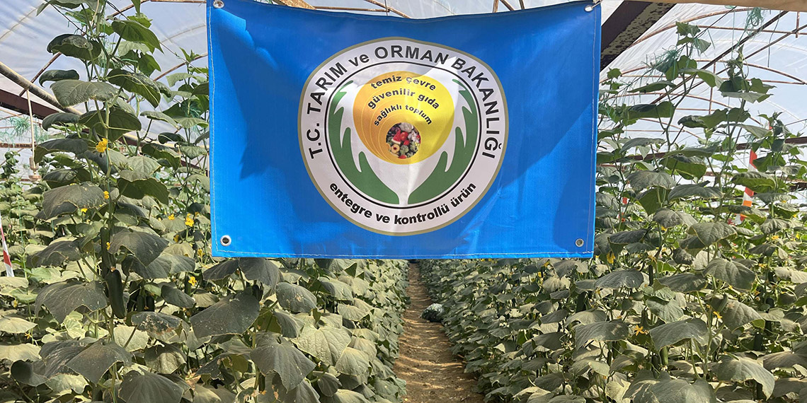 İlaç kalıntısız meyve ve sebze üretimine 'mavi bayrak'