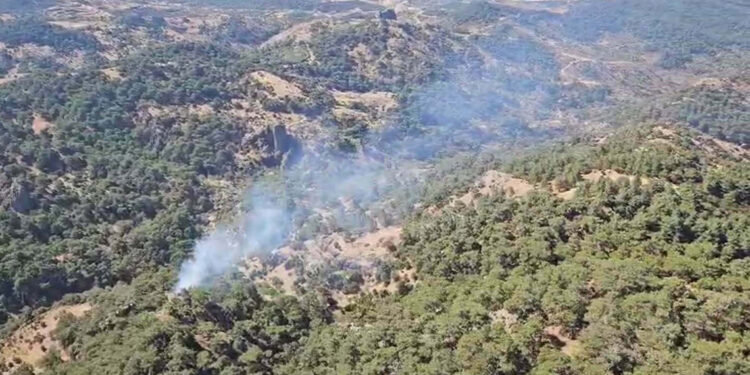 İzmir'de orman yangını 3 saatte kontrol altına alındı