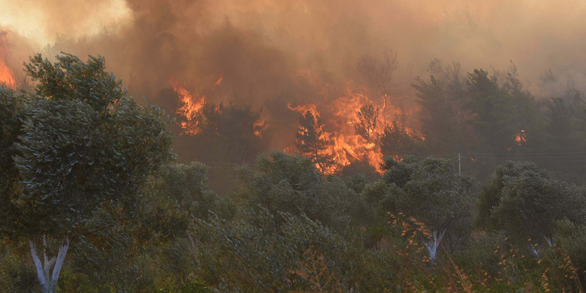 İzmir'de toprak kurudu, en küçük kıvılcımda çıra gibi tutuşuyor