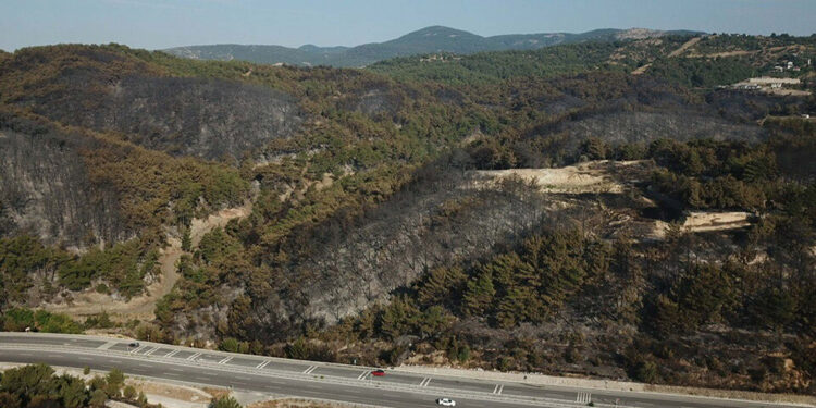 İzmir'in Bornova ilçesindeki yangında 2'nci gün