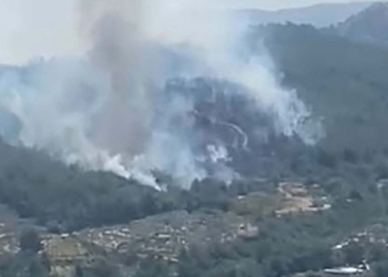İzmir'in Menderes ilçesinde orman yangını çıktı