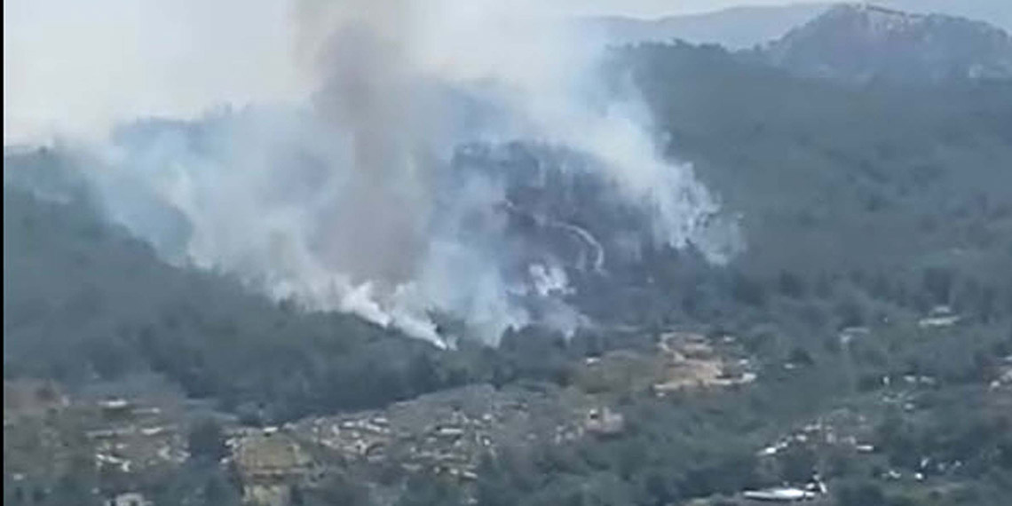 İzmir'in Menderes ilçesinde orman yangını çıktı