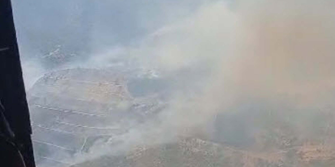 İzmir'in Selçuk ilçesinde orman yangını; müdahale sürüyor