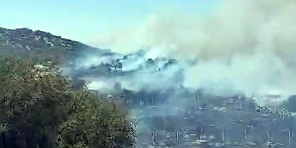 Kahramanmaraş'ın Pazarcık ilçesinde orman yangını