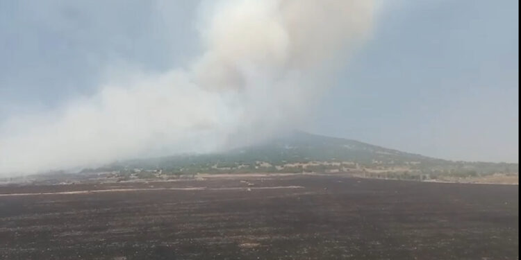 Kahramanmaraş'ın Pazarcık ilçesinde orman yangını