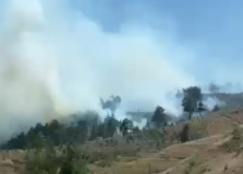 Kahramanmaraş'ta ormanda yangın çıktı